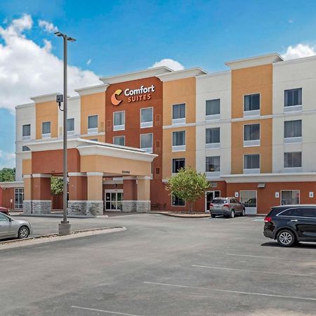 Comfort Suites East Knoxville Eksteriør billede